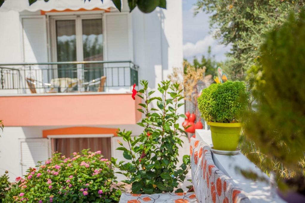 Marmaron Rooms Agiokampos (Evia) Exterior foto